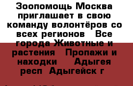 Зоопомощь.Москва приглашает в свою команду волонтёров со всех регионов - Все города Животные и растения » Пропажи и находки   . Адыгея респ.,Адыгейск г.